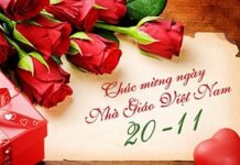 Ủy ban Giáo dục Công Giáo: Thư Chúc Mừng Nhân Ngày Nhà Giáo Việt Nam