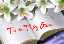 Tri ân vị Thầy đã dạy tôi yêu