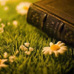 Biến cuộc đời thành mối phúc thật