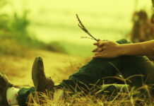 Suy tư Mùa Vọng – Mùa tỉnh thức