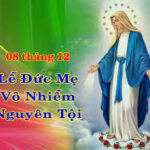 Lời nguyện tín hữu – Lễ Đức Mẹ Vô Nhiễm Nguyên Tội (8/12)