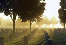 Suy niệm Lời Chúa- Lễ cầu cho Các Tín hữu đã qua đời (2/11)