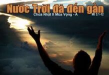 Các Bài suy niệm Chúa Nhật 2 Mùa Vọng Năm A