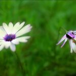 Sám Hối – Buồn hay Vui?