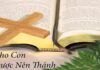Lời nguyện tín hữu – Chúa Nhật 13 Thường niên_ A
