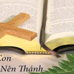 Nên Thánh hàng ngày