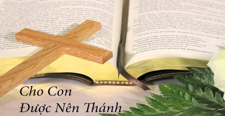 Lời nguyện tín hữu – Chúa Nhật 13 Thường niên_ A