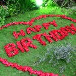 Nơi nào Chúa chọn để sinh ra?