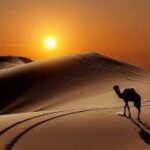 Tiếng hô trong hoang địa