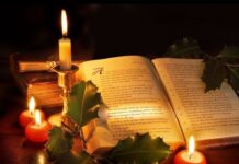 Sống Chậm Giữa Mùa Hân Hoan