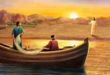 Các bài suy niệm Chúa Nhật 3 Thường niên Năm A