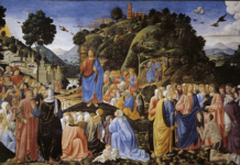 Các bài suy niệm Chúa Nhật 4 Thường niên Năm A