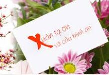 Xin ơn sống năm mới