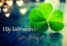 Kiên Nhẫn Của Tình Yêu