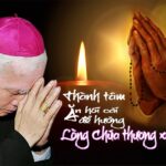 Đức Giám mục Giuse Đinh Đức Đạo: lòng Chúa thương xót và nhân loại tội lỗi