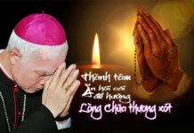 Đức Giám mục Giuse Đinh Đức Đạo: lòng Chúa thương xót và nhân loại tội lỗi