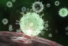 Covid-19 và giữ đạo