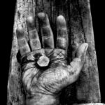 Tâm sự của cây đinh