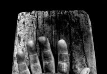 Tâm sự của cây đinh