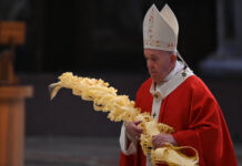 Bài giảng sáng Chúa nhật Lễ lá tại Vatican của Đức Thánh cha Phanxicô