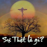 Sự thật là gì?