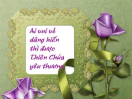 Ơn gọi của tôi