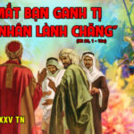 Các bài suy niệm Chúa Nhật 25 Thường Niên Năm A