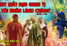 Các bài suy niệm Chúa Nhật 25 Thường Niên Năm A