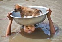 Tôi thấy gì trong cơn lũ?