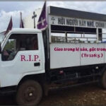 Chuyến xe đặc biệt