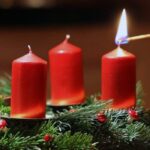 Tòa Thánh phát động chiến dịch cầu nguyện trong Mùa Vọng theo tinh thần Laudato si’