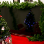 Truyện ngắn: CÂY THÔNG NHỎ