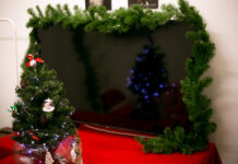 Truyện ngắn: CÂY THÔNG NHỎ