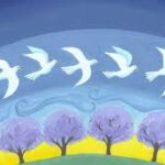 Sứ điệp cho Ngày Hoà bình Thế giới lần thứ 54 (1-1-2021): Văn hóa Quan tâm