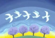 Sứ điệp cho Ngày Hoà bình Thế giới lần thứ 54 (1-1-2021): Văn hóa Quan tâm