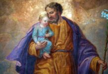 Nỗi lòng người cha