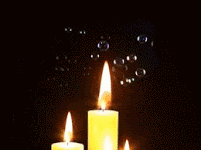 Lời cầu giữa mùa dịch