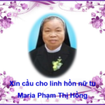 Video : Tang lễ nữ tu Maria Phạm Thị Hồng