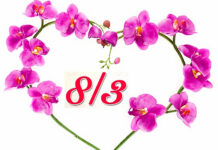 Thiên chức người nữ