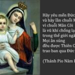 Suy niệm chung Tháng 05 – Sống Ơn Gọi Mến Thánh Giá Theo Gương Mẹ Maria