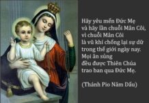 Suy niệm chung Tháng 05 – Sống Ơn Gọi Mến Thánh Giá Theo Gương Mẹ Maria