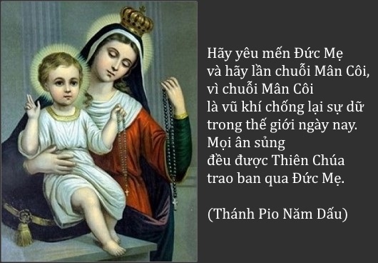 Suy niệm chung Tháng 05 – Sống Ơn Gọi Mến Thánh Giá Theo Gương Mẹ Maria