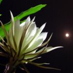 Nơi Góc Nhỏ Có Con Và Chúa