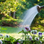 Năm cách để tìm kiếm ân sủng trong cuộc sống của bạn