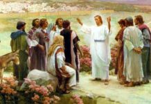 Các bài suy niệm Chúa Nhật 14 Thường Niên Năm B