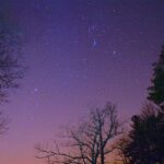 Những vì sao trong đêm