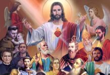 Vườn Hoa Muôn Sắc