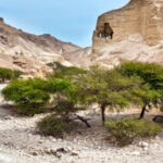 Hành trình gian khó