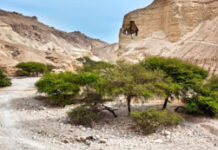 Hành trình gian khó