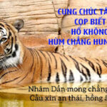 Ngụ Ngôn Nhâm Dần
